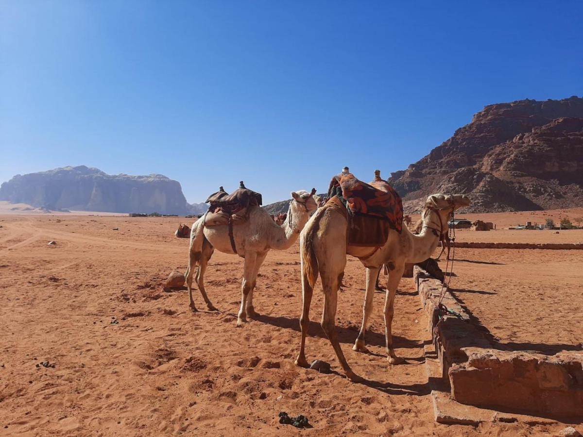 Wadi Rum Secrets Camp Eksteriør bilde