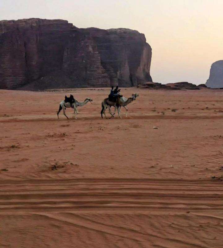 Wadi Rum Secrets Camp Eksteriør bilde