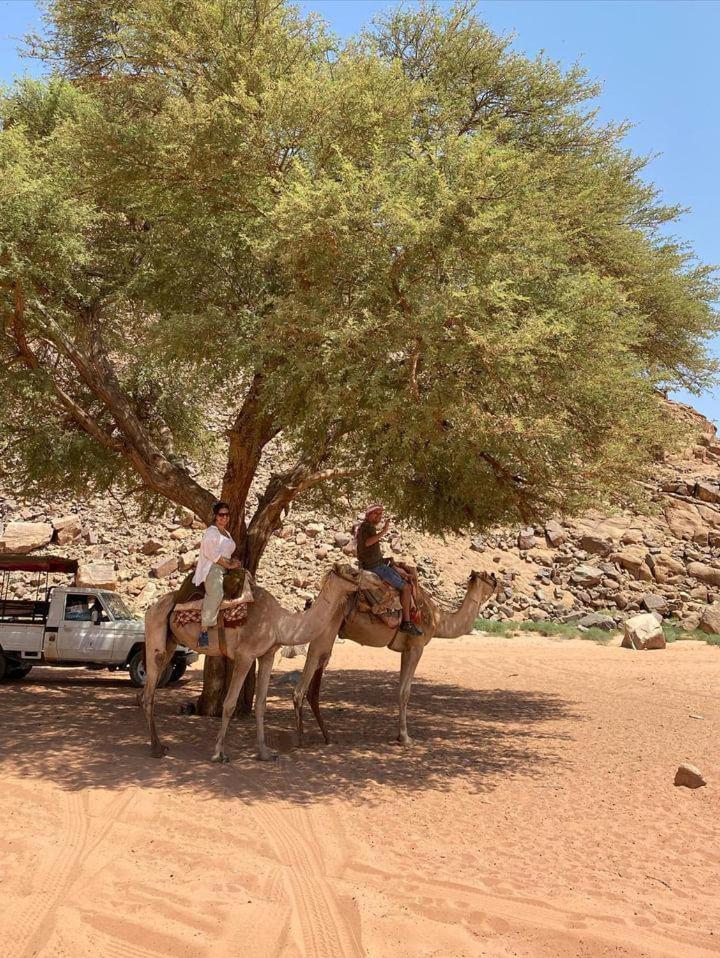 Wadi Rum Secrets Camp Eksteriør bilde